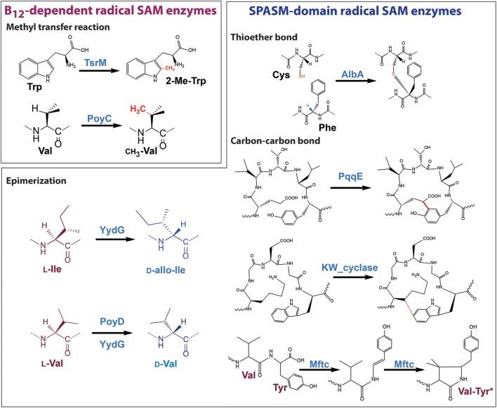 https://cdn.ncbi.nlm.nih.gov/pmc/blobs/e7eb/5682303/d7c54b4a53e8/fchem-05-00087-g0006.jpg