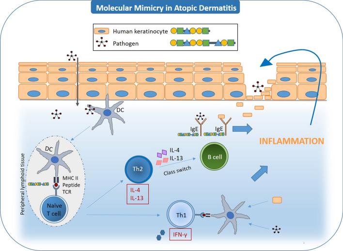 https://cdn.ncbi.nlm.nih.gov/pmc/blobs/e7ec/7398196/9c011c075afd/13601_2020_338_Fig2_HTML.jpg