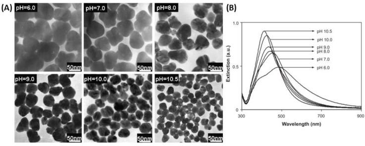 https://cdn.ncbi.nlm.nih.gov/pmc/blobs/e7ee/6627098/01374281bb15/biosensors-09-00078-g002.jpg