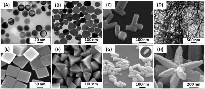 https://cdn.ncbi.nlm.nih.gov/pmc/blobs/e7ee/6627098/32460558ad5b/biosensors-09-00078-g003.jpg