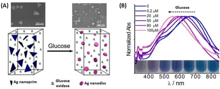 https://cdn.ncbi.nlm.nih.gov/pmc/blobs/e7ee/6627098/4ec4d4a5dc54/biosensors-09-00078-g029.jpg