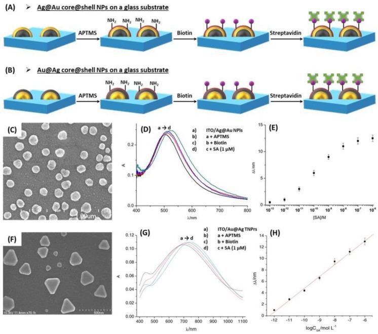 https://cdn.ncbi.nlm.nih.gov/pmc/blobs/e7ee/6627098/88c697d22f58/biosensors-09-00078-g024.jpg