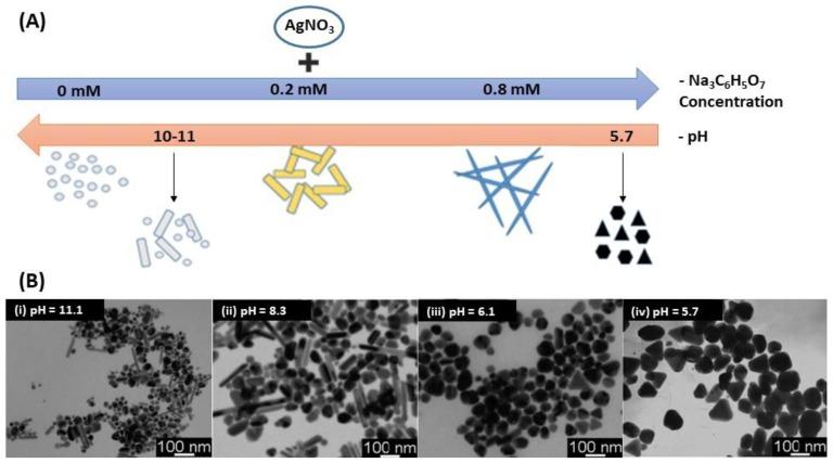 https://cdn.ncbi.nlm.nih.gov/pmc/blobs/e7ee/6627098/95bcd5e6d57a/biosensors-09-00078-g001.jpg