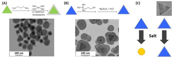 https://cdn.ncbi.nlm.nih.gov/pmc/blobs/e7ee/6627098/c293f2a5c46e/biosensors-09-00078-g013.jpg