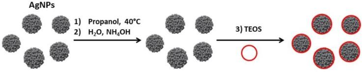 https://cdn.ncbi.nlm.nih.gov/pmc/blobs/e7ee/6627098/e4ec3a9517b8/biosensors-09-00078-g012.jpg