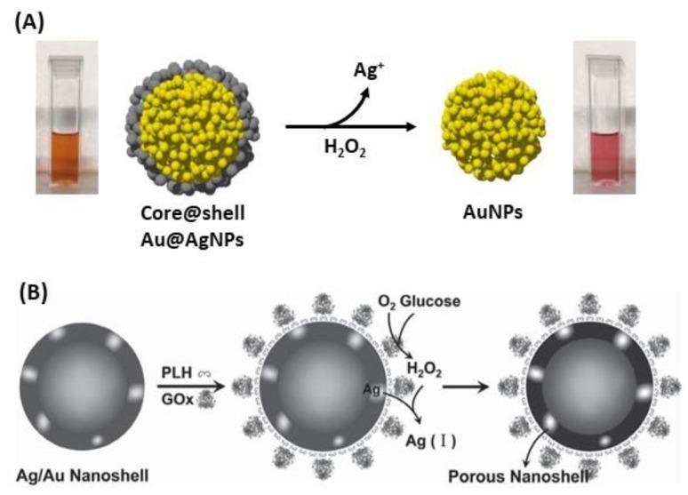 https://cdn.ncbi.nlm.nih.gov/pmc/blobs/e7ee/6627098/f3a2250431a5/biosensors-09-00078-g030.jpg