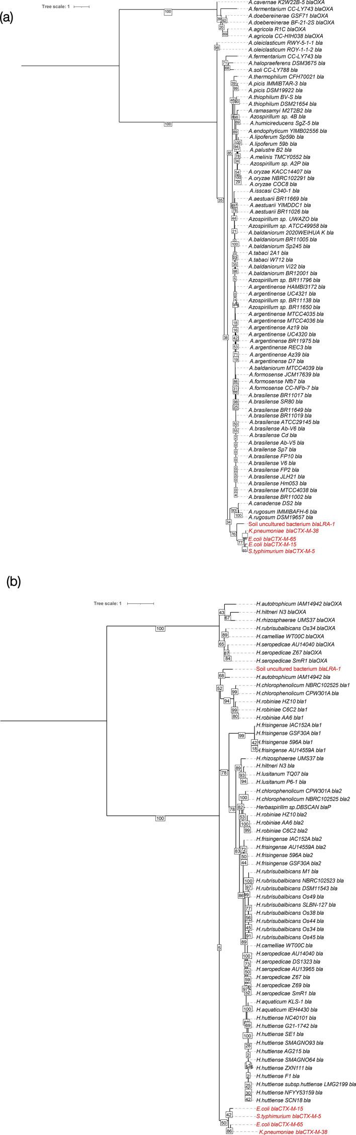 https://cdn.ncbi.nlm.nih.gov/pmc/blobs/e7f2/12038027/6022892e338b/mgen-11-01391-g006.jpg