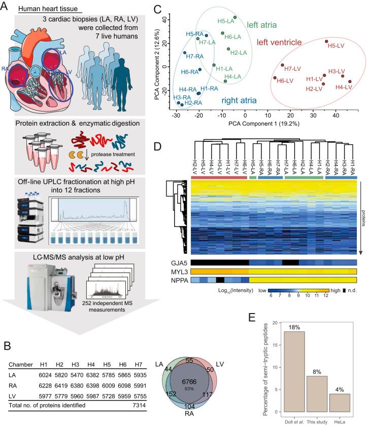 https://cdn.ncbi.nlm.nih.gov/pmc/blobs/e7f2/7338087/4465350c4895/zjw0062061360001.jpg
