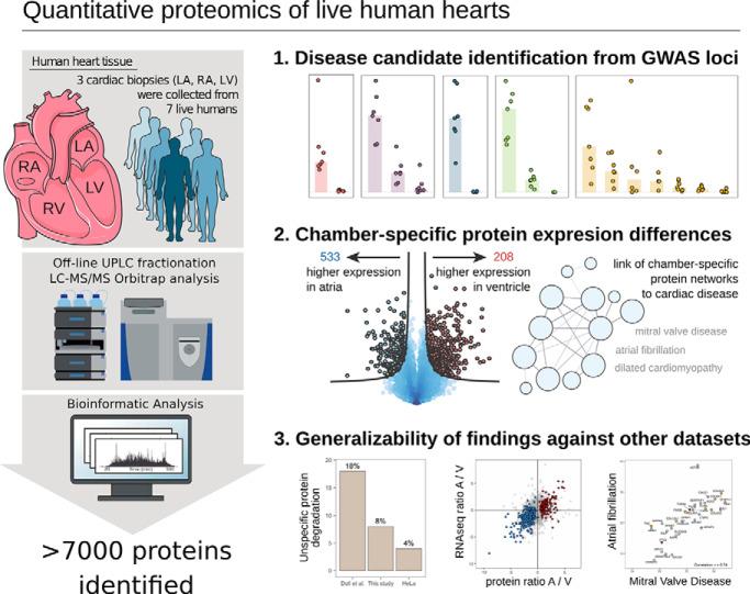 https://cdn.ncbi.nlm.nih.gov/pmc/blobs/e7f2/7338087/72e41d805e89/zjw0062061360006.jpg
