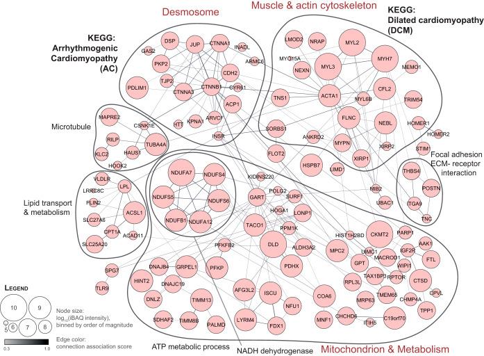 https://cdn.ncbi.nlm.nih.gov/pmc/blobs/e7f2/7338087/d2eb5c97a716/zjw0062061360004.jpg
