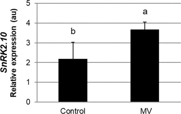 https://cdn.ncbi.nlm.nih.gov/pmc/blobs/e7f3/10445769/96bc86d5d31b/fpls-14-1135240-g005.jpg