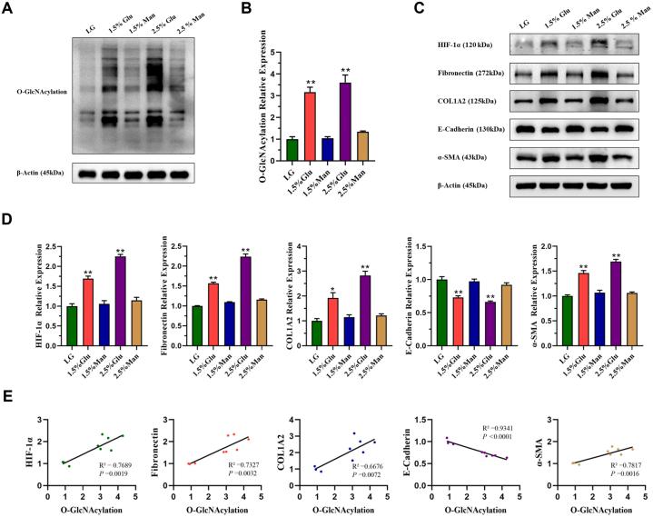 https://cdn.ncbi.nlm.nih.gov/pmc/blobs/e7f4/10746441/b814f9b023fd/gr1.jpg