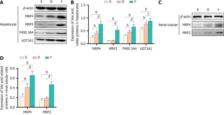 https://cdn.ncbi.nlm.nih.gov/pmc/blobs/e7f4/11959654/11e08cf857e2/101724-g003.jpg