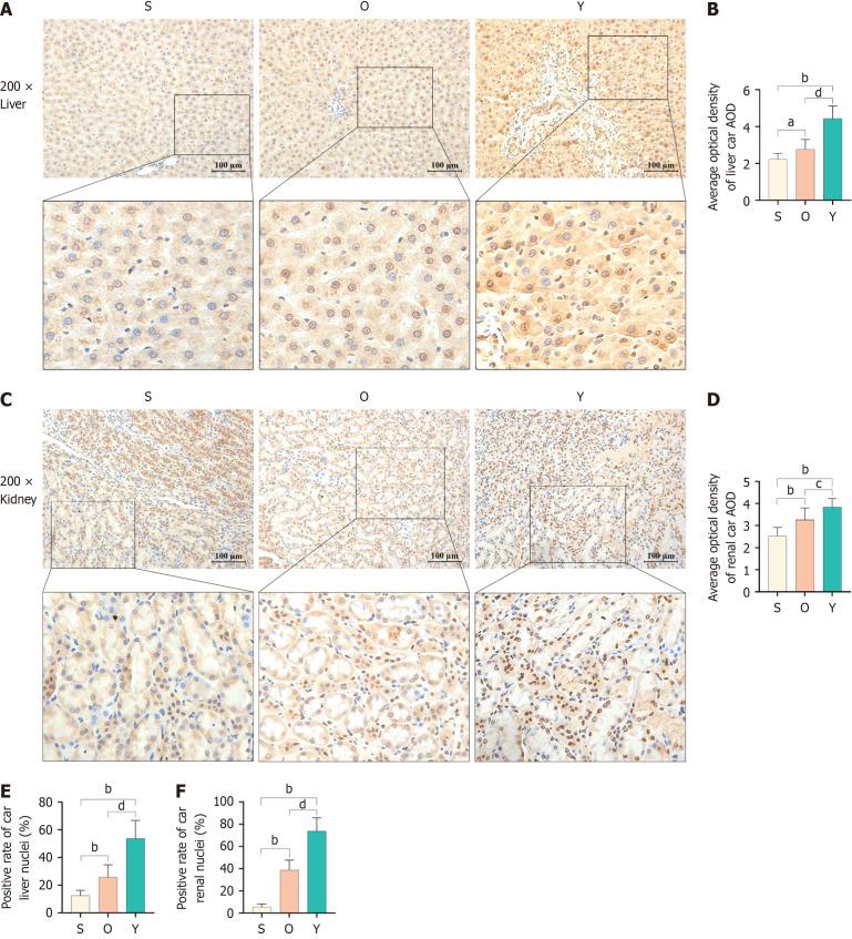 https://cdn.ncbi.nlm.nih.gov/pmc/blobs/e7f4/11959654/35e3cc0a4b63/101724-g004.jpg