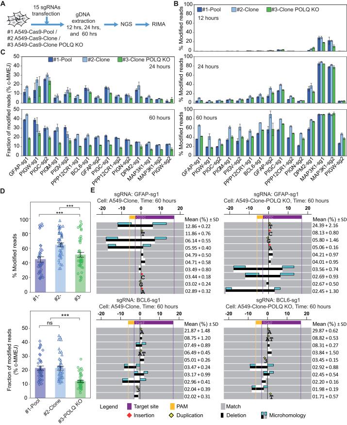 https://cdn.ncbi.nlm.nih.gov/pmc/blobs/e7f4/6144780/9541e8ab7524/gky653fig4.jpg