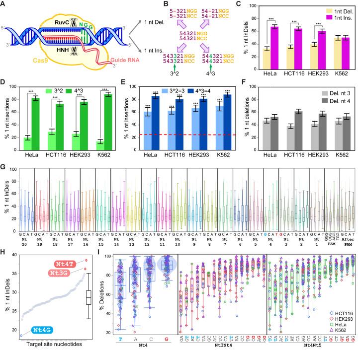 https://cdn.ncbi.nlm.nih.gov/pmc/blobs/e7f4/6144780/a796ec5534f0/gky653fig5.jpg