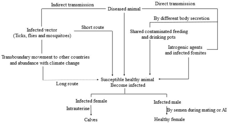 https://cdn.ncbi.nlm.nih.gov/pmc/blobs/e7fb/10535115/d05811e77a44/viruses-15-01861-g001.jpg