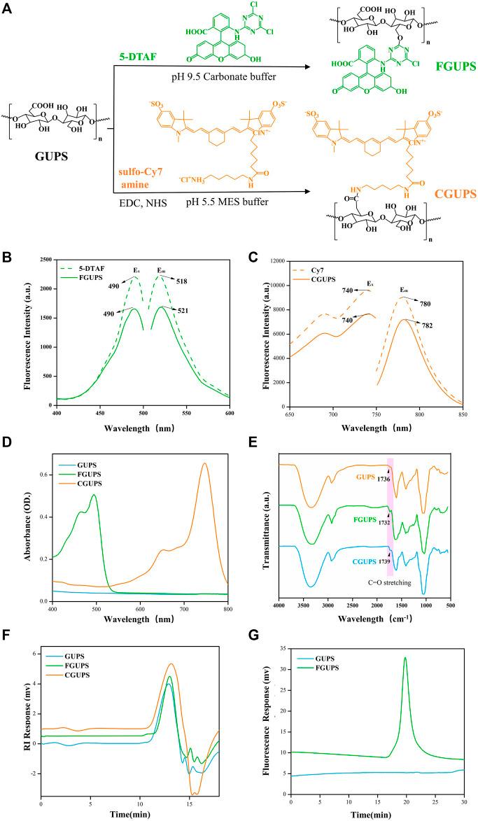 https://cdn.ncbi.nlm.nih.gov/pmc/blobs/e7fb/11294697/d936ca105d77/fphar-15-1431221-g001.jpg