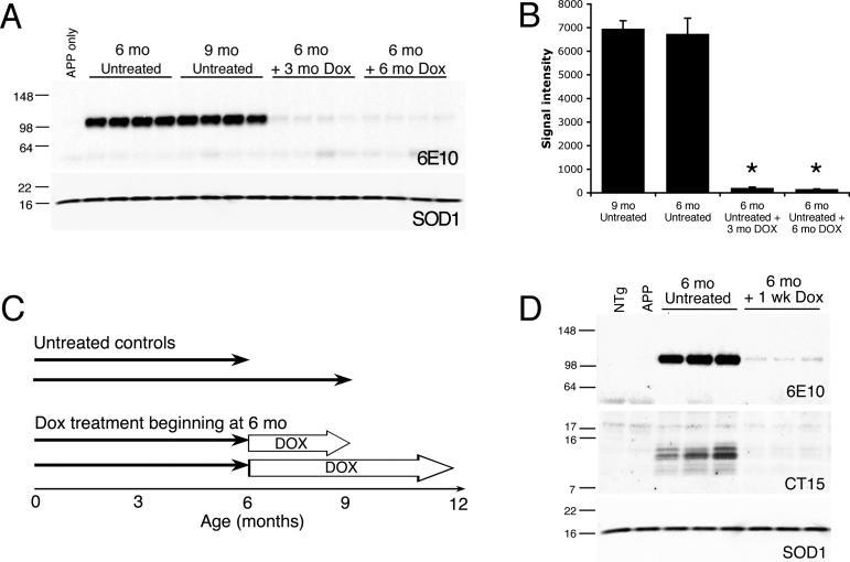 https://cdn.ncbi.nlm.nih.gov/pmc/blobs/e7fe/1322285/6a56c7885679/pmed.0020355.g003.jpg