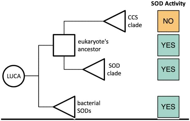 https://cdn.ncbi.nlm.nih.gov/pmc/blobs/e7ff/3178059/13d3f855663c/bbr042f5.jpg