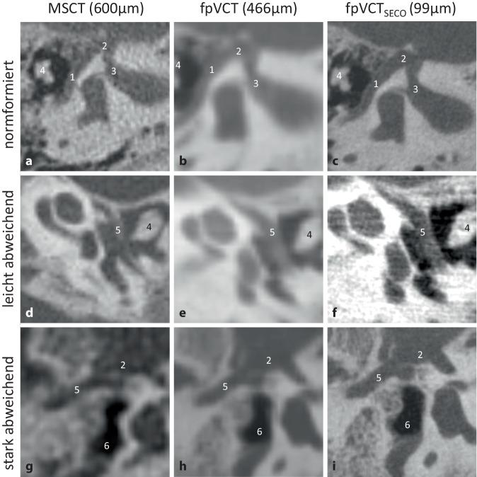 https://cdn.ncbi.nlm.nih.gov/pmc/blobs/e802/11499392/16224e8c457a/106_2024_1511_Fig3_HTML.jpg