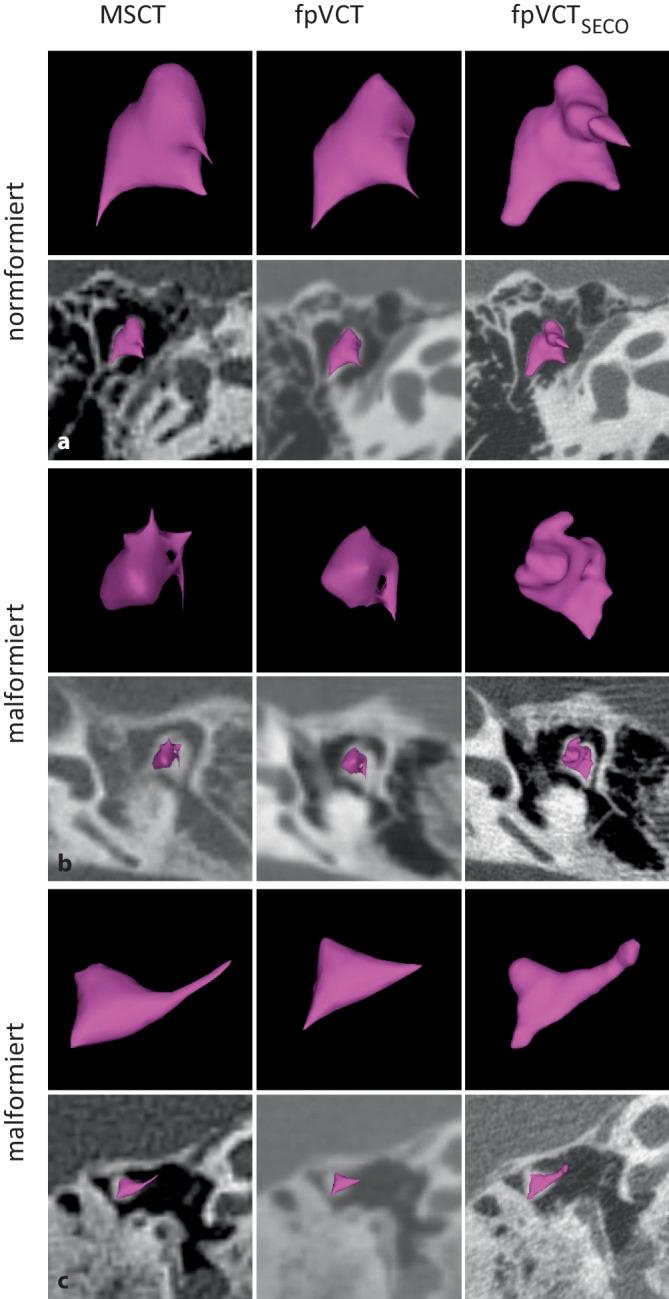 https://cdn.ncbi.nlm.nih.gov/pmc/blobs/e802/11499392/54d7f950edf2/106_2024_1511_Fig5_HTML.jpg