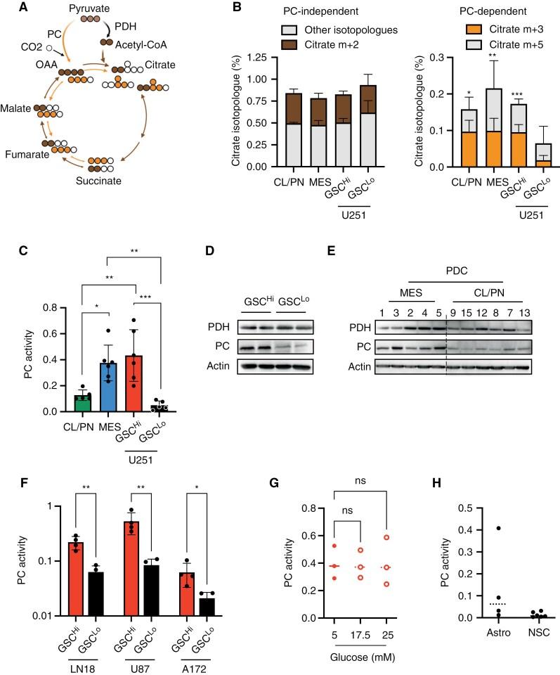 https://cdn.ncbi.nlm.nih.gov/pmc/blobs/e803/11376449/003c9437ba42/noae106_fig3.jpg