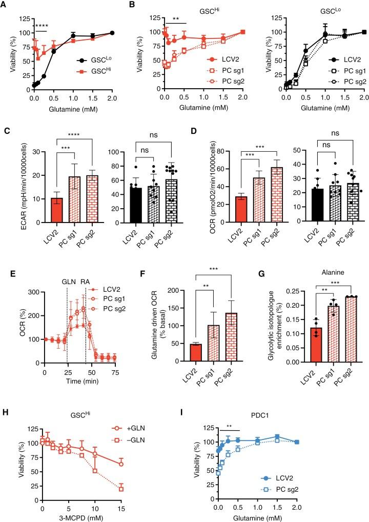 https://cdn.ncbi.nlm.nih.gov/pmc/blobs/e803/11376449/841e45404cde/noae106_fig5.jpg