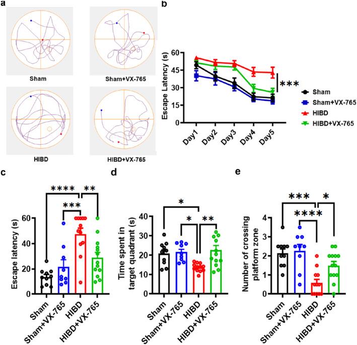 https://cdn.ncbi.nlm.nih.gov/pmc/blobs/e803/12118117/5b7233c36e89/PDI3-3-e66-g002.jpg