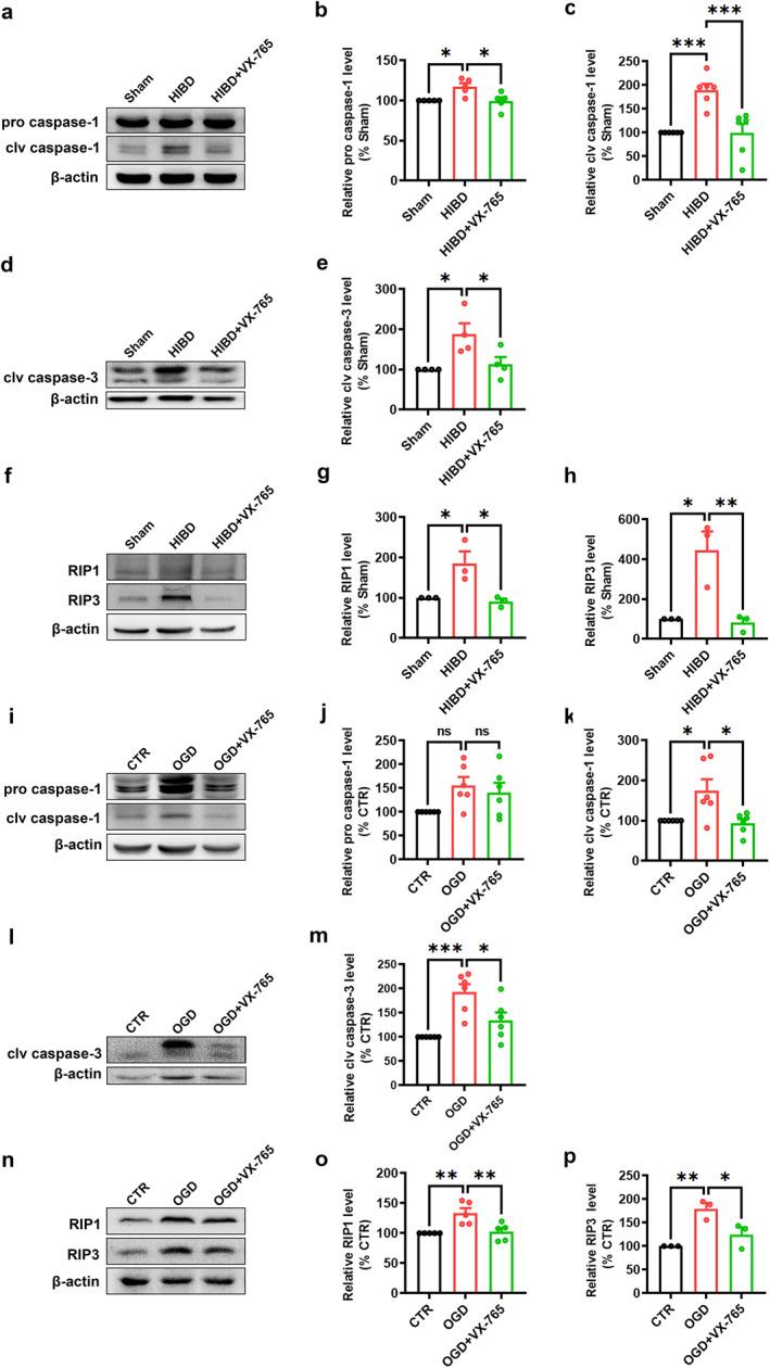 https://cdn.ncbi.nlm.nih.gov/pmc/blobs/e803/12118117/86d4bb89bad5/PDI3-3-e66-g003.jpg