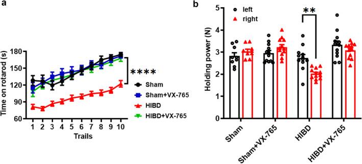 https://cdn.ncbi.nlm.nih.gov/pmc/blobs/e803/12118117/e1b012393894/PDI3-3-e66-g006.jpg