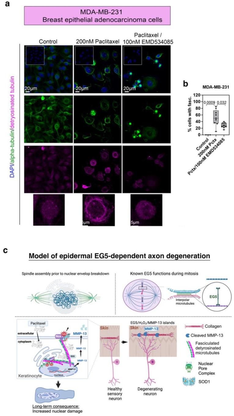 https://cdn.ncbi.nlm.nih.gov/pmc/blobs/e803/12393485/19d18932b7e7/nihpp-rs5470731v1-f0007.jpg