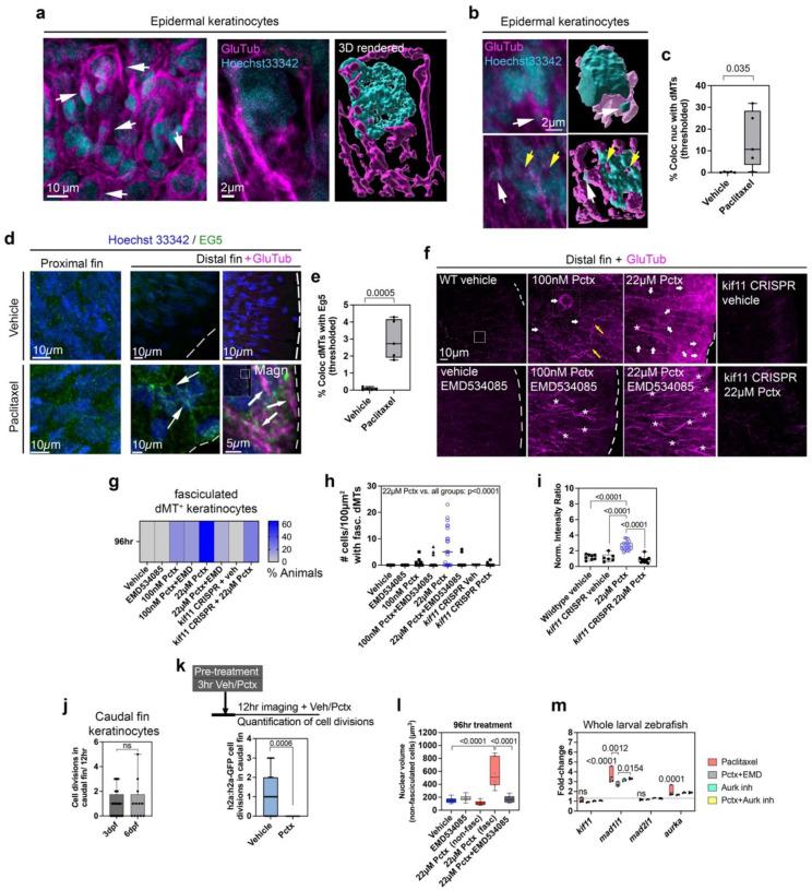 https://cdn.ncbi.nlm.nih.gov/pmc/blobs/e803/12393485/8cfe6463928f/nihpp-rs5470731v1-f0003.jpg