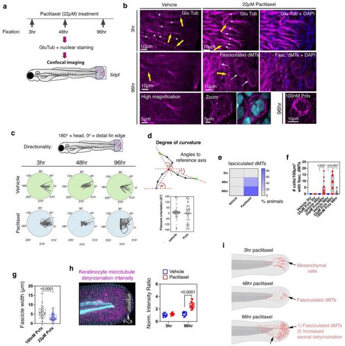 https://cdn.ncbi.nlm.nih.gov/pmc/blobs/e803/12393485/e269e79a9ff2/nihpp-rs5470731v1-f0002.jpg