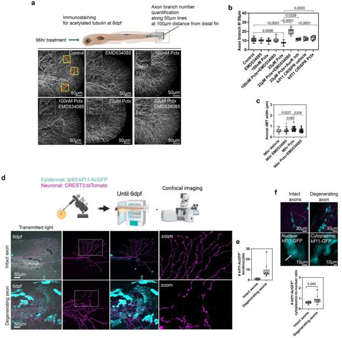https://cdn.ncbi.nlm.nih.gov/pmc/blobs/e803/12393485/ed27feeec3aa/nihpp-rs5470731v1-f0005.jpg