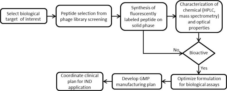 https://cdn.ncbi.nlm.nih.gov/pmc/blobs/e806/3539189/179bda5dd5ba/boe-4-1-160-g003.jpg