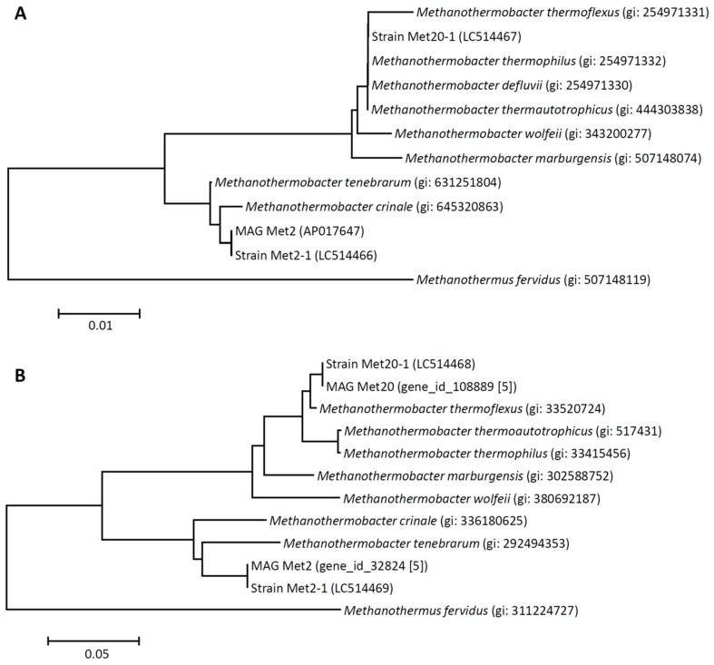 https://cdn.ncbi.nlm.nih.gov/pmc/blobs/e806/7074840/1b427603c787/microorganisms-08-00217-g002.jpg
