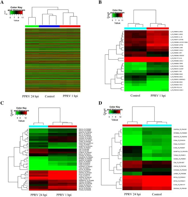 https://cdn.ncbi.nlm.nih.gov/pmc/blobs/e807/5784595/28e7b3c286a0/13567_2018_504_Fig3_HTML.jpg