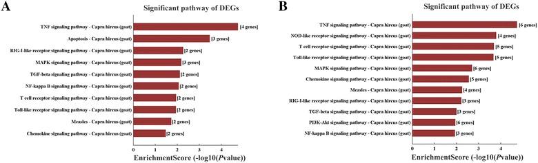 https://cdn.ncbi.nlm.nih.gov/pmc/blobs/e807/5784595/2b91c042449d/13567_2018_504_Fig7_HTML.jpg