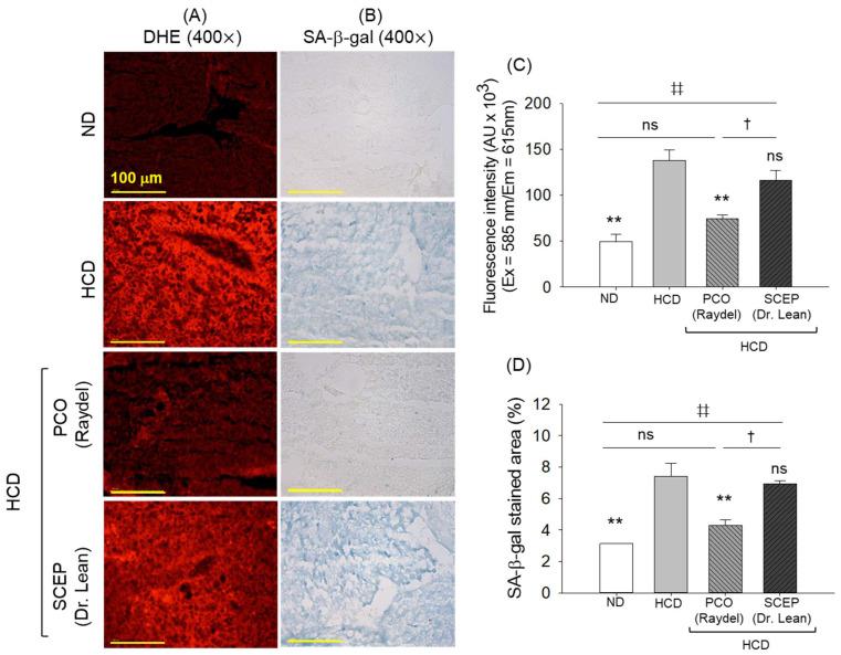 https://cdn.ncbi.nlm.nih.gov/pmc/blobs/e809/12109632/51e5609c2b0b/cimb-47-00354-g007.jpg