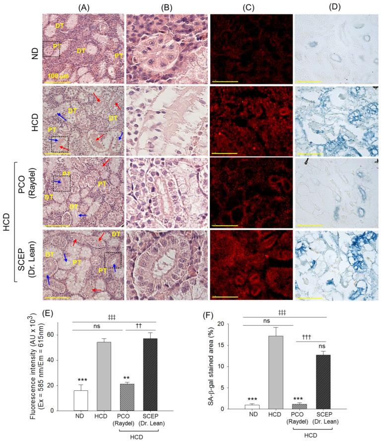 https://cdn.ncbi.nlm.nih.gov/pmc/blobs/e809/12109632/f71aa30a65a9/cimb-47-00354-g008.jpg