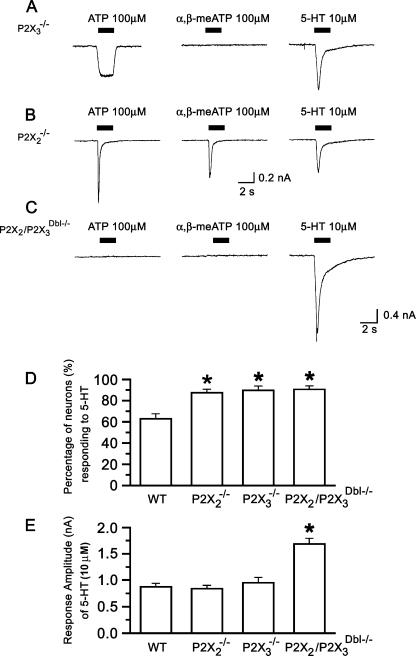 https://cdn.ncbi.nlm.nih.gov/pmc/blobs/e80a/2096651/72bd1a6bbd9f/11302_2006_Article_9017_Fig2.jpg
