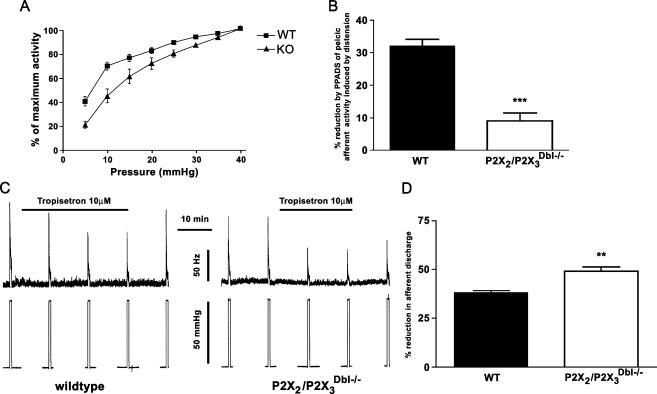 https://cdn.ncbi.nlm.nih.gov/pmc/blobs/e80a/2096651/82b3b6d52a74/11302_2006_Article_9017_Fig4.jpg