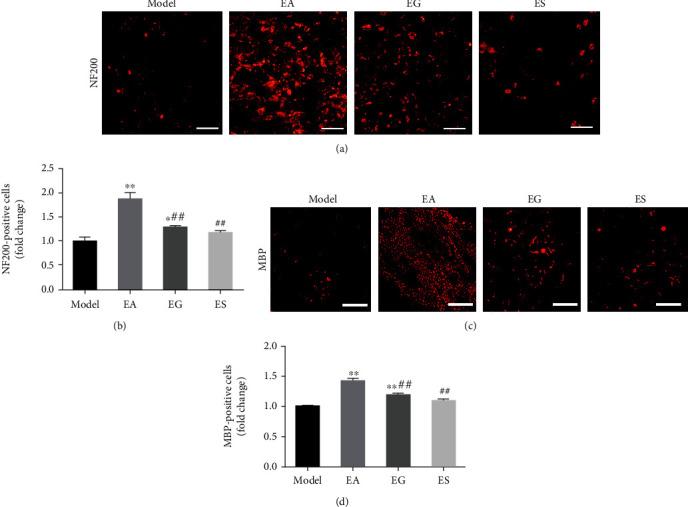 https://cdn.ncbi.nlm.nih.gov/pmc/blobs/e80b/8817850/0bab182243c5/OMCL2022-7530102.004.jpg