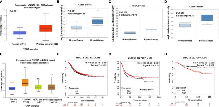 https://cdn.ncbi.nlm.nih.gov/pmc/blobs/e80c/7987952/32359495a49e/fonc-11-638751-g001.jpg