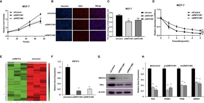 https://cdn.ncbi.nlm.nih.gov/pmc/blobs/e80c/7987952/960d4f6b92a7/fonc-11-638751-g002.jpg