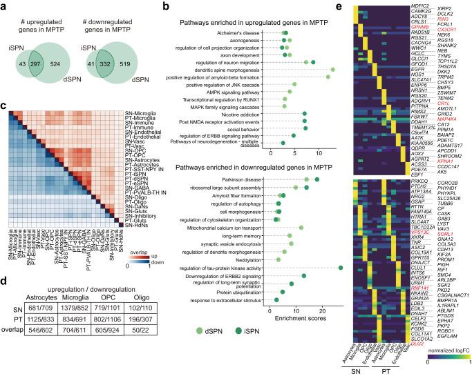 https://cdn.ncbi.nlm.nih.gov/pmc/blobs/e80d/10657376/8e2a5be90fcd/41467_2023_43213_Fig5_HTML.jpg