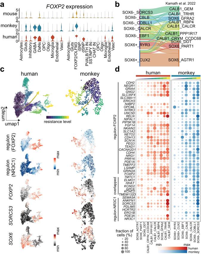 https://cdn.ncbi.nlm.nih.gov/pmc/blobs/e80d/10657376/e211af307874/41467_2023_43213_Fig4_HTML.jpg