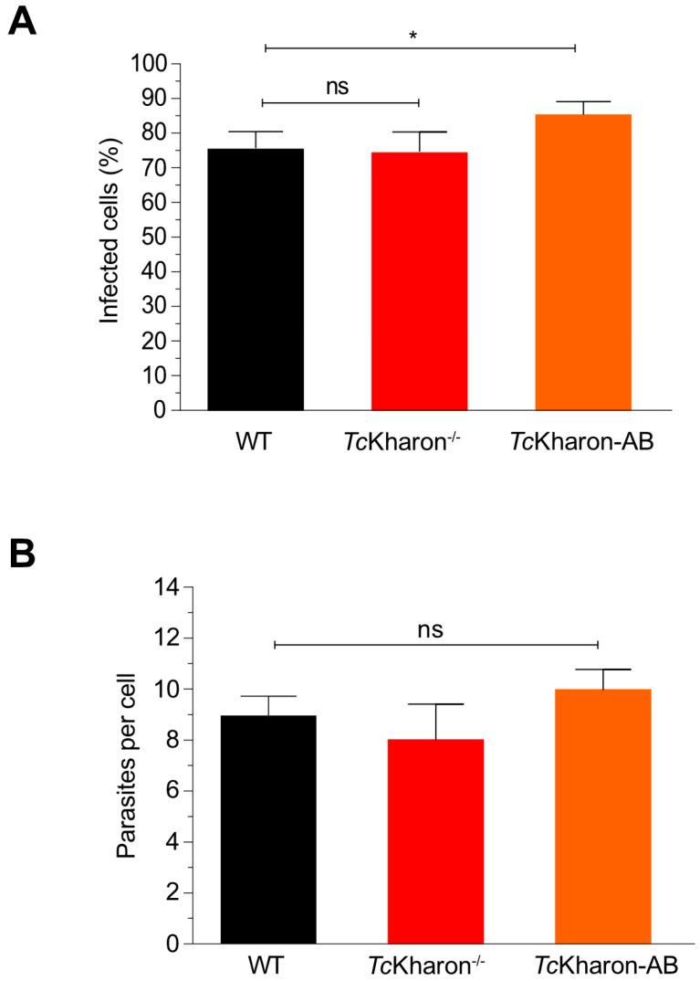https://cdn.ncbi.nlm.nih.gov/pmc/blobs/e810/12030701/46ec126ecb3b/pathogens-14-00312-g008.jpg