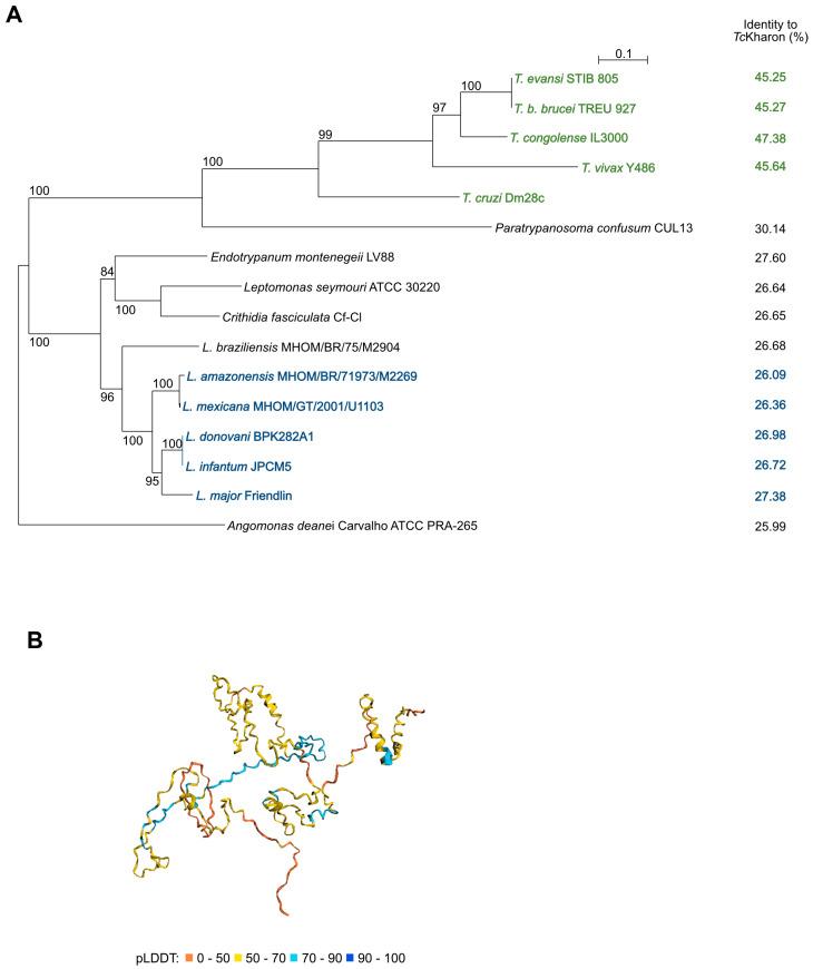 https://cdn.ncbi.nlm.nih.gov/pmc/blobs/e810/12030701/fdb6495ff971/pathogens-14-00312-g001.jpg